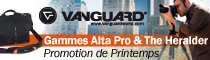 Vanguard promotion printemps