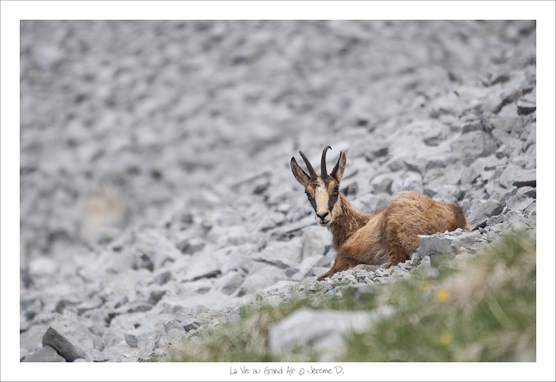 concours image et nature 2.jpg