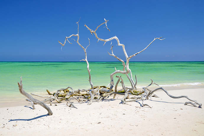 JCl ORTIZ Plage cubaine.jpg