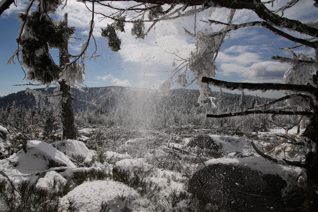 Lac Blanc Vosges 2018 2.jpg