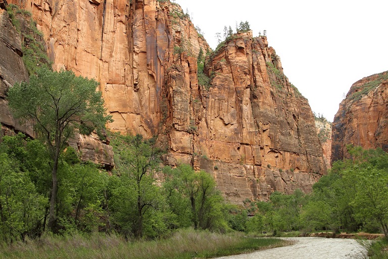 151 Zion et Virgin River.jpg