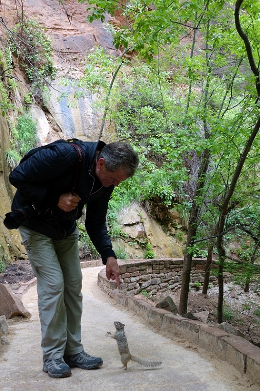 153 Un copain à Zion.jpg