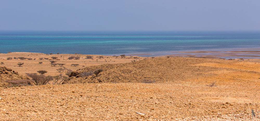 Baie d'Obock.jpg