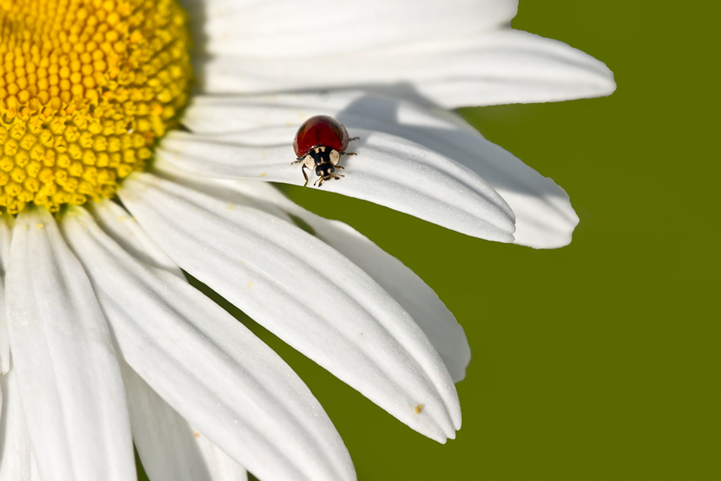 Concours image nature_.jpg