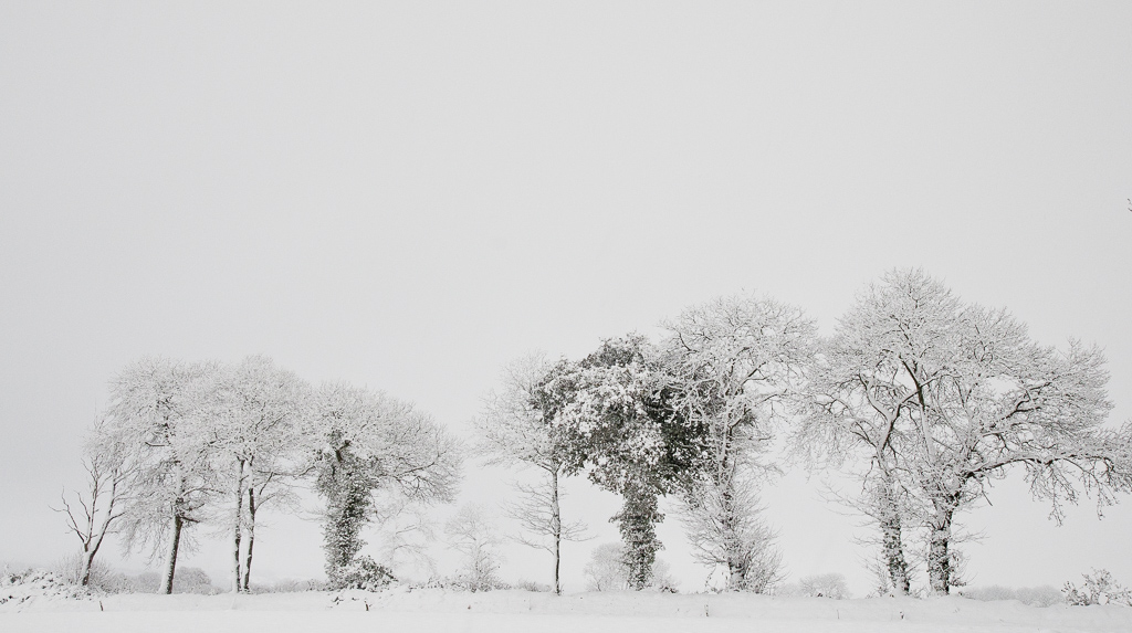 bocage hivernal.JPG