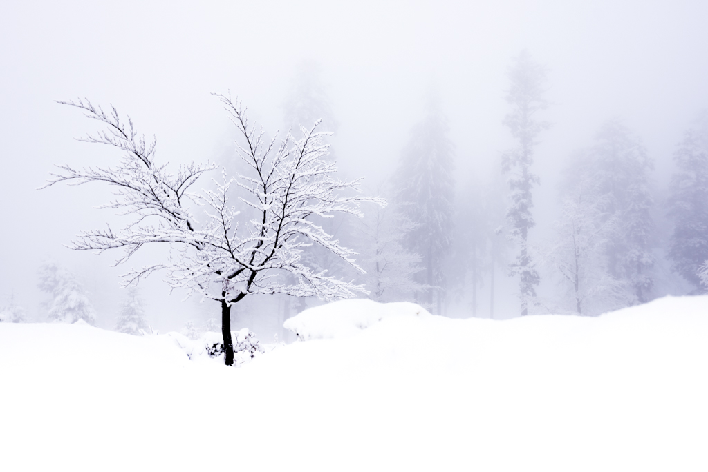 Paysage-hiver-Marc-Albrecht-2.jpg