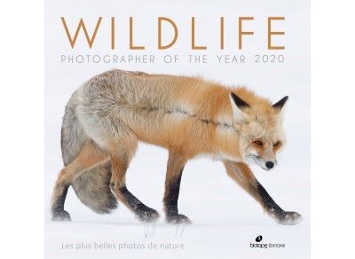Wildlife-photographer-of-the-year-2020.jpg