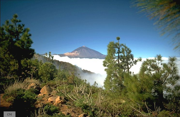 Volcan_Teide.jpg