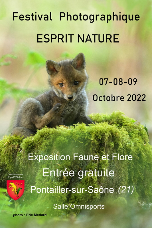 illustration-festival-photographique-esprit-nature_1-1651675386-1.jpg