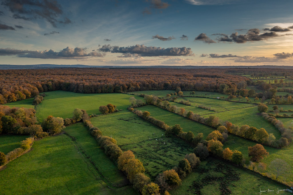 ForetCerisyEtAlentours_novembre2022_DJI_0651_1024px.jpg