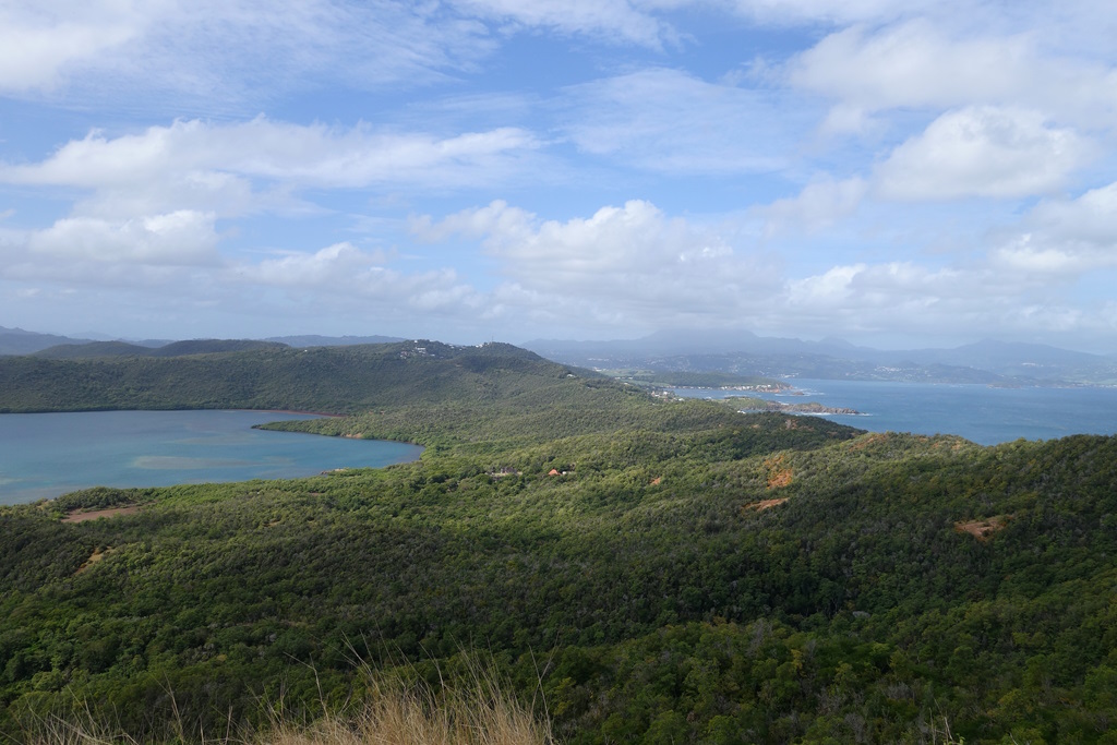 041 Vue du Morne Gommier.jpg