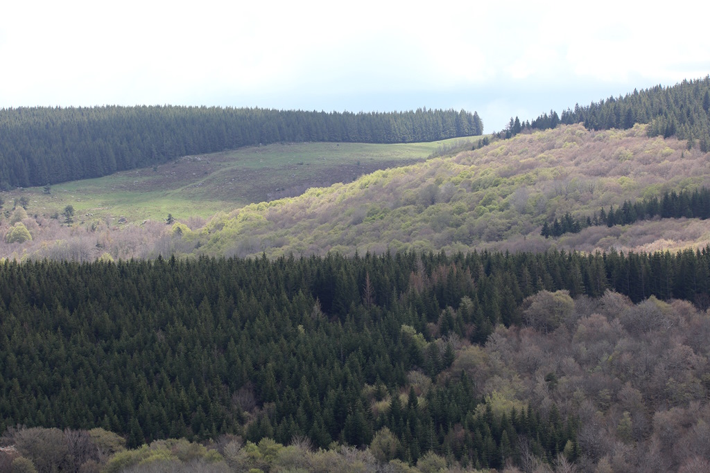 14 Aubrac vu du plateau.jpg