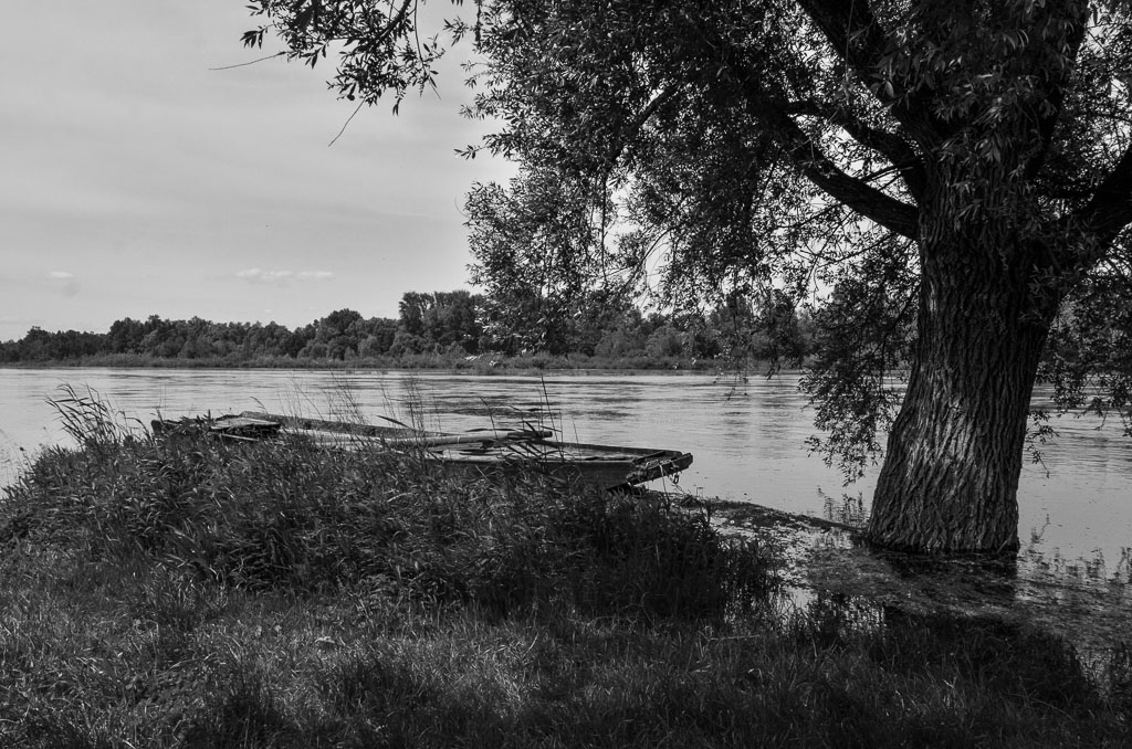 Chaumont sur Loire -bis-.jpg