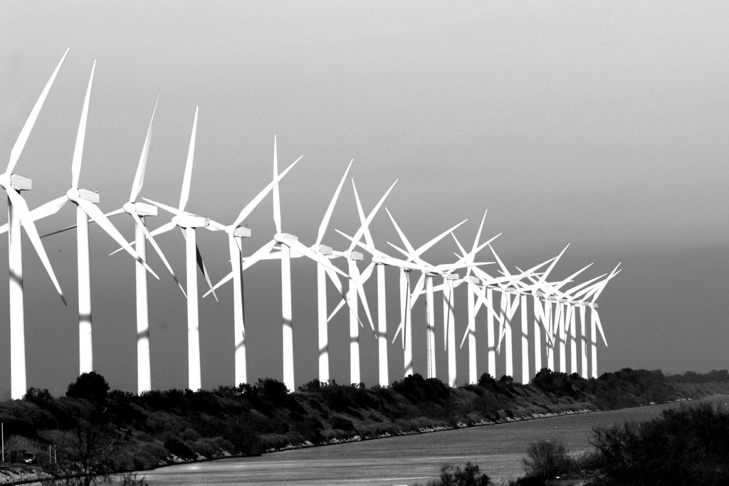 les éoliennes.jpg