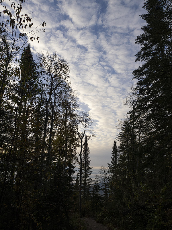 01 parc des grands jardins.jpg