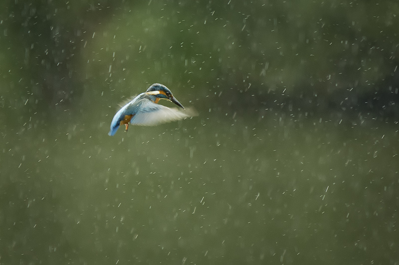 Sous la pluie-3.jpg