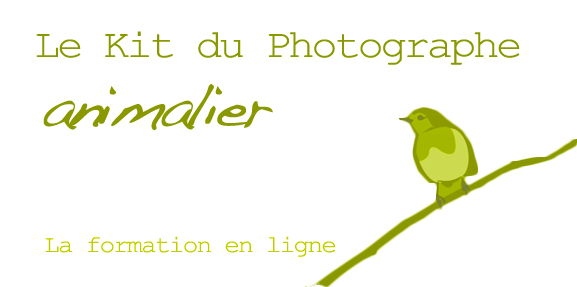 logo_kit_photographe_animalier.jpg