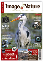 Image & Nature n�11