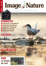 Image & Nature n�118