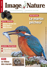 Image & Nature n�121