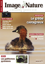 Image & Nature n�123