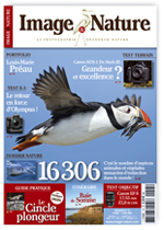 Image & Nature n�13