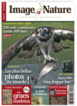 Image & Nature n�17