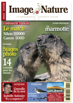 Image & Nature n�22