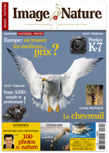Image & Nature n�24