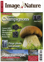 Image & Nature n�35