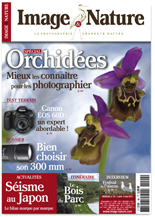 Image & Nature n�40