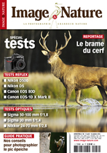 Image & Nature n�88