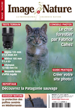 Image & Nature n�93